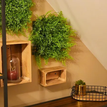 Cosy Duplex Pour 4 Personnes à Soignies