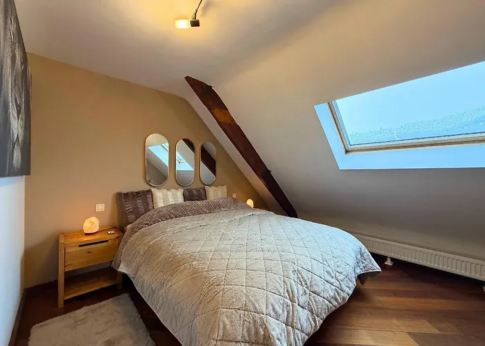 Apartamento Cosy Duplex Pour 4 Personnes A Soignies